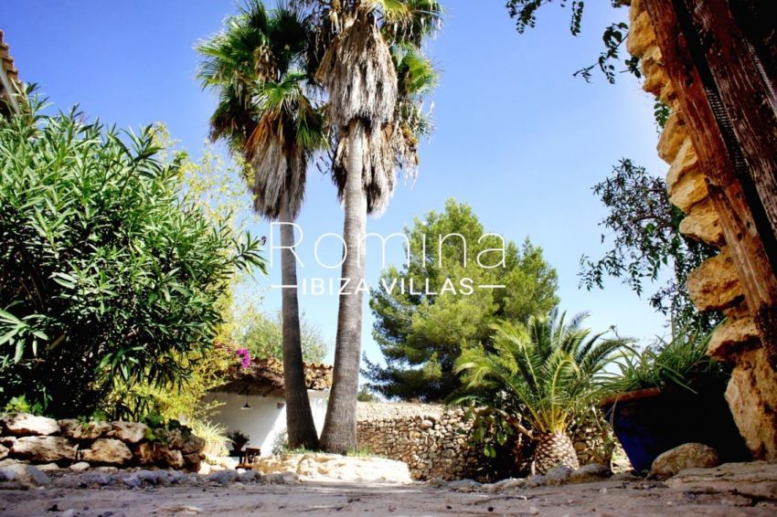 finca gibert ibiza-2palm trees