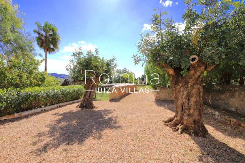 can fogana ibiza-2garden trees view hills