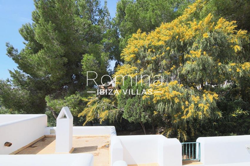 romina-ibiza-villas-rv-893-81-villa-mimosa-2mimosa tree