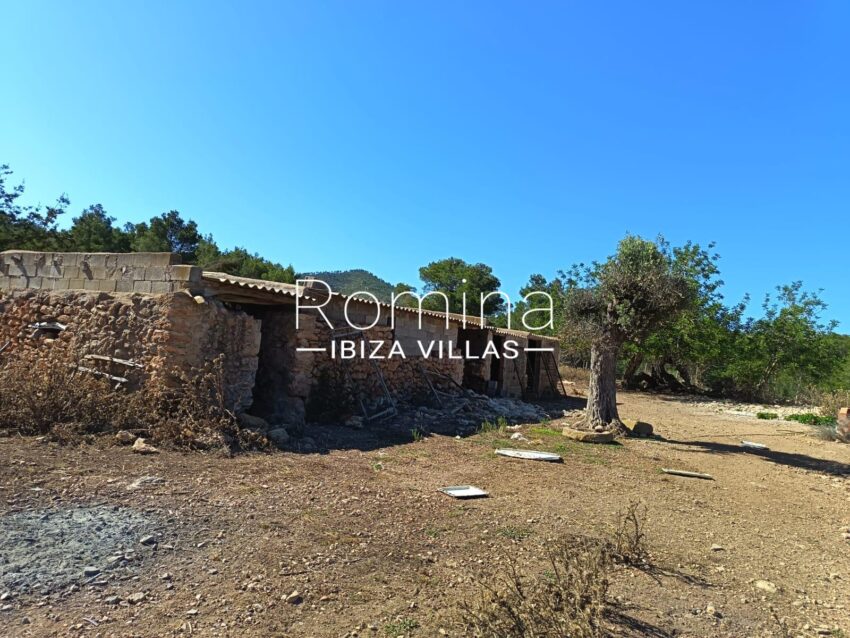 PHOTO-2025-07-24-10-16-31 8