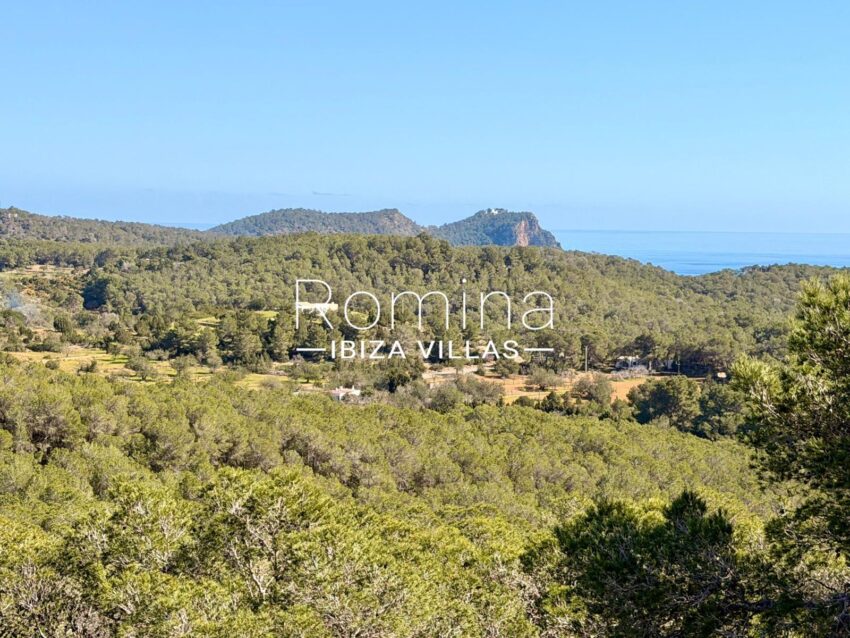 San Carlos CW-D-TT-48_5