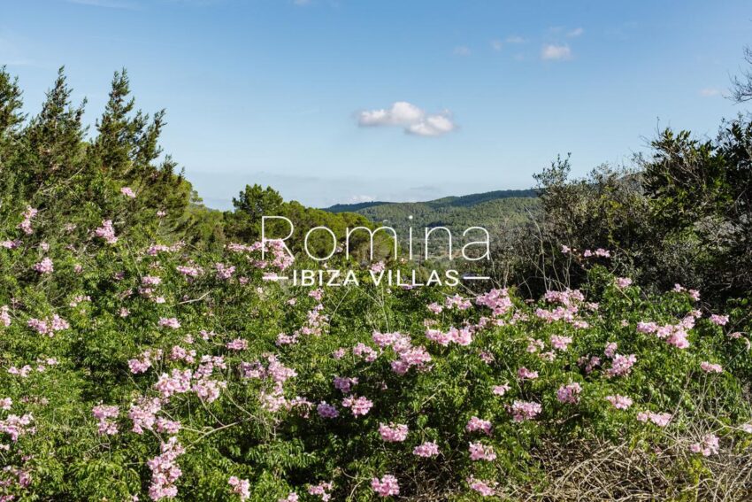 FOTOS MAIN H. CAN CULLET26