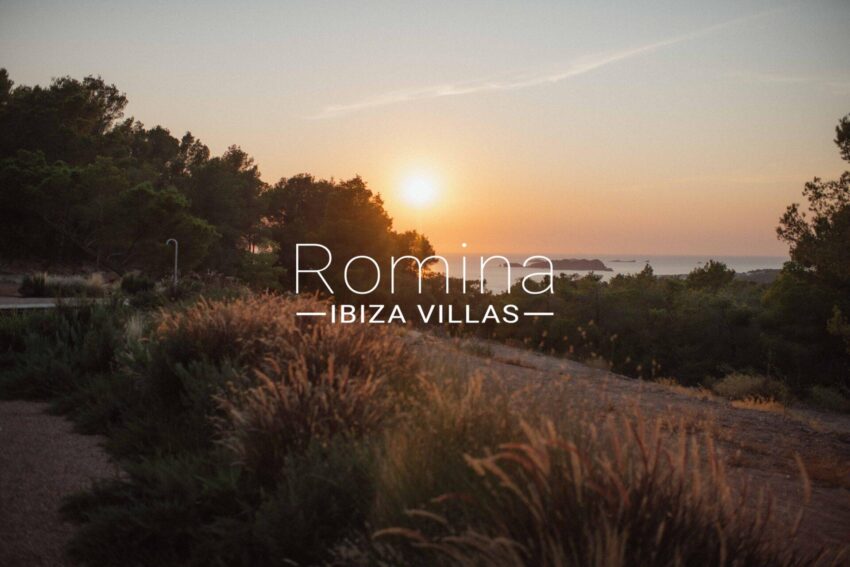 IrmyPhotographyLowres-133
